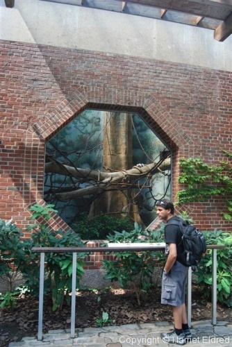 Adventures in New York - Central Park Zoo - Photo 1